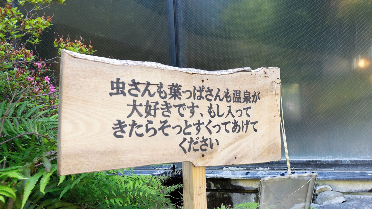 Photo of Others in Kikuchi