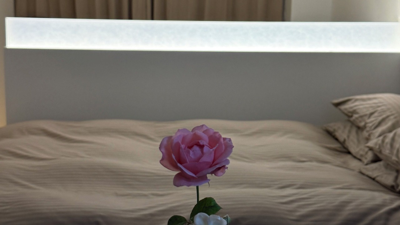 Photo of Bedroom in Hamamatsucho