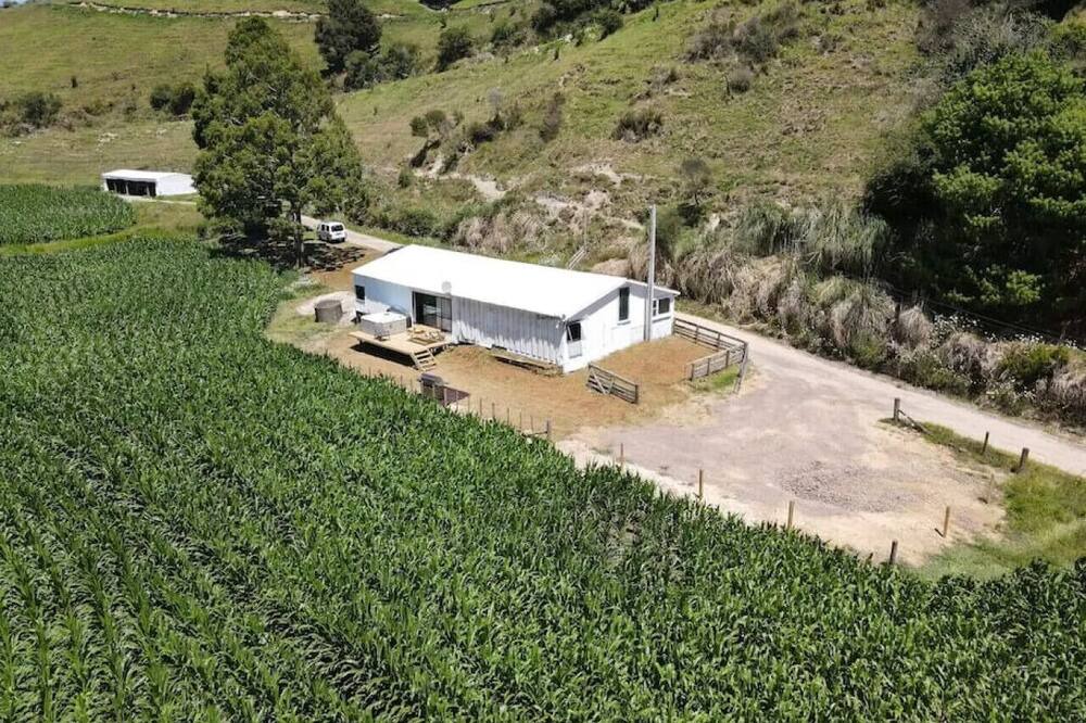 Photo of Others in Pukehina