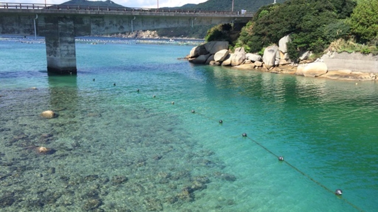 Photo of Others in Otsuki