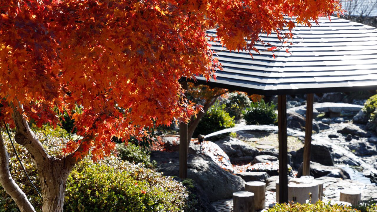 Photo of Outdoor in Asakura