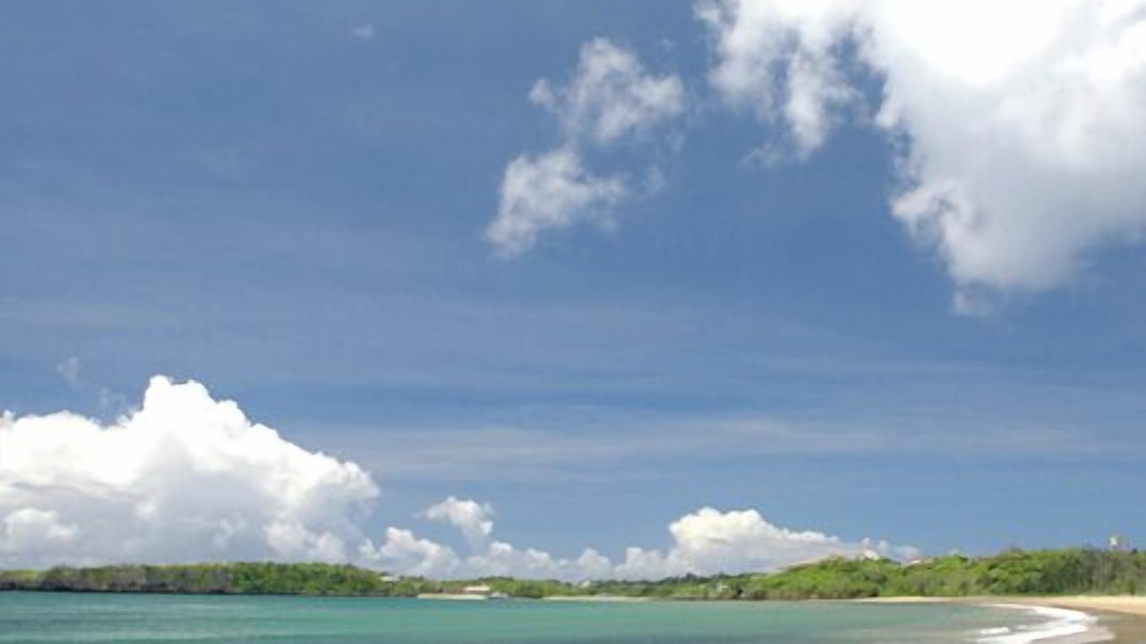 Photo of Others in Iriomote-jima Taketomi-cho