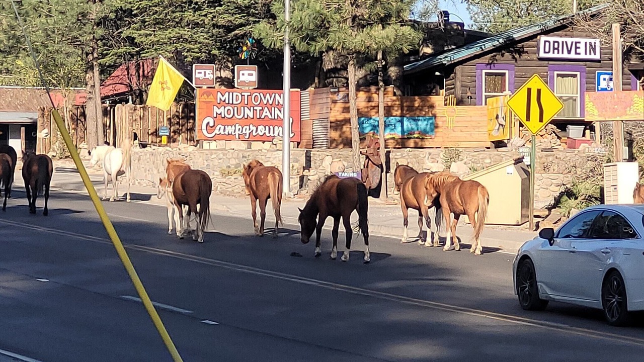 Photo of Outdoor in Ruidoso