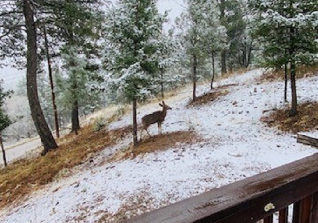 Photo of Others in Ruidoso