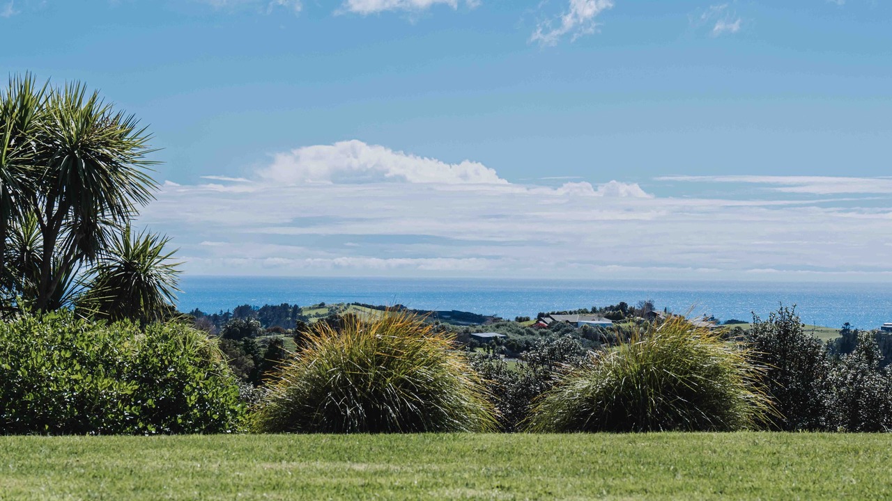 Photo of Others in Tutukaka