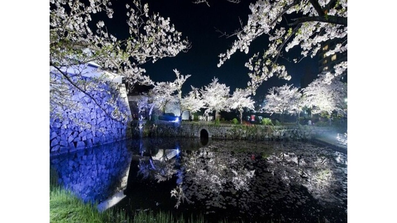 Photo of Others in Chuo-ku