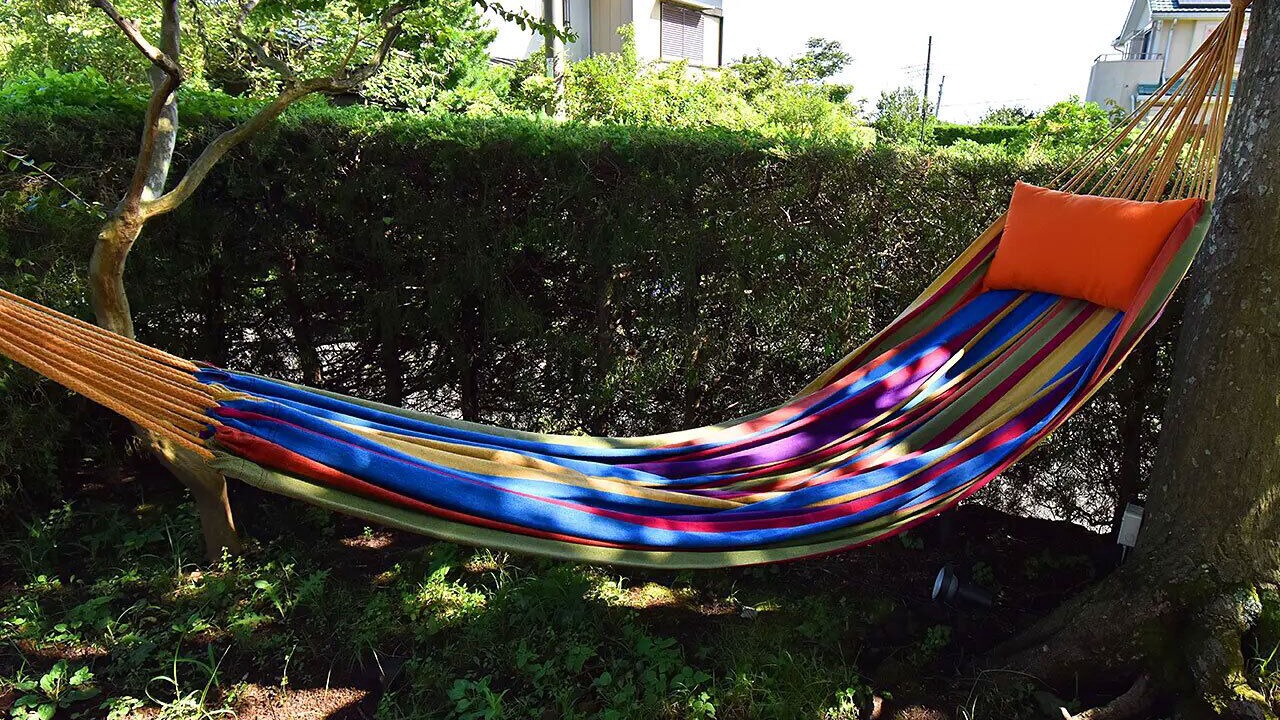 Photo of Outdoor in Futo