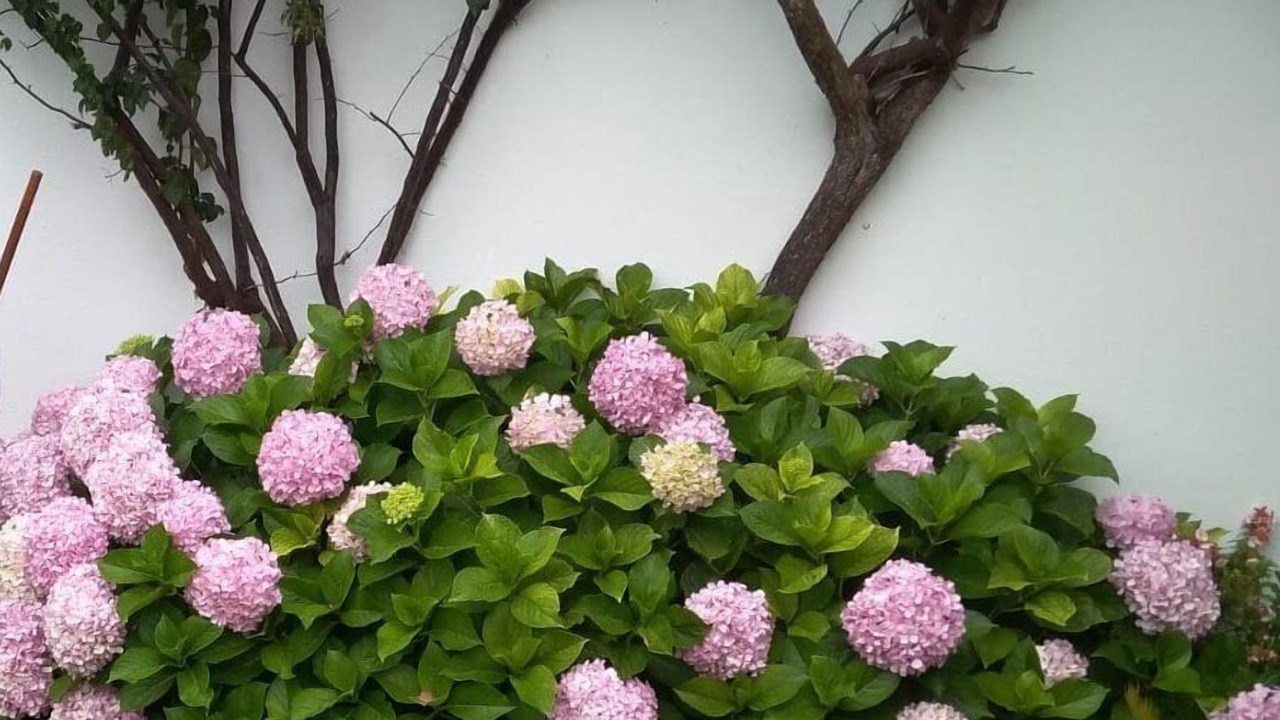 Photo of Outdoor in Conceicao e Cabanas de Tavira