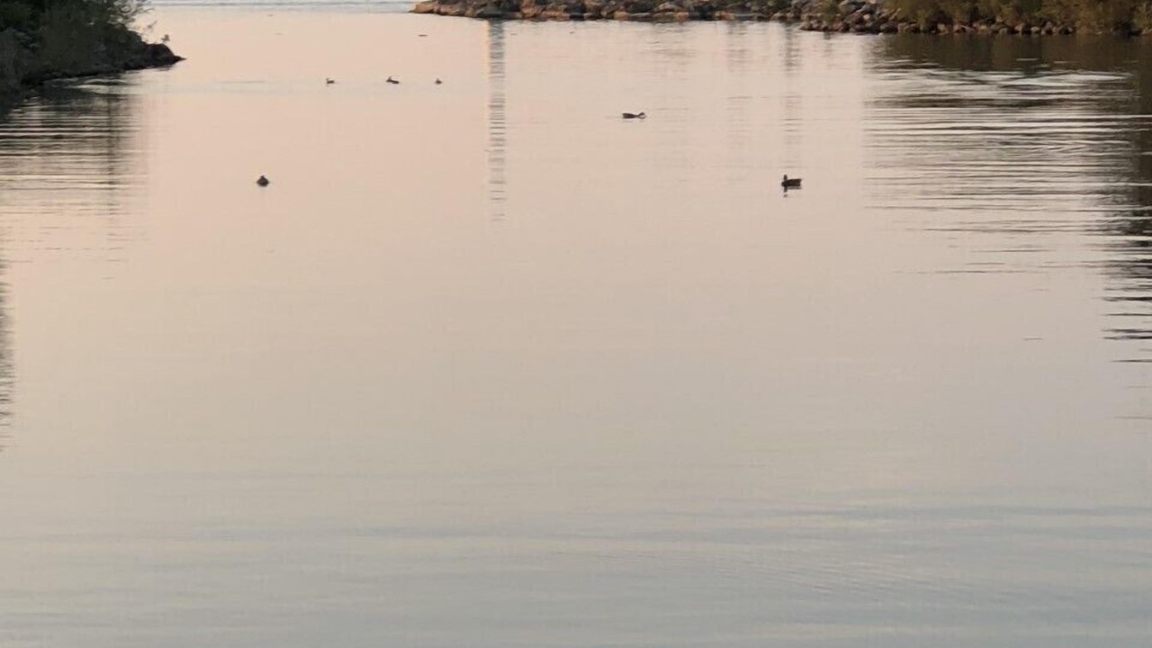 Photo of Others in Geneva-on-the-Lake