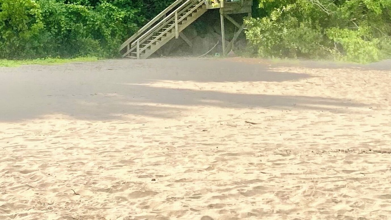 Photo of Others in Lake Michigan Beach