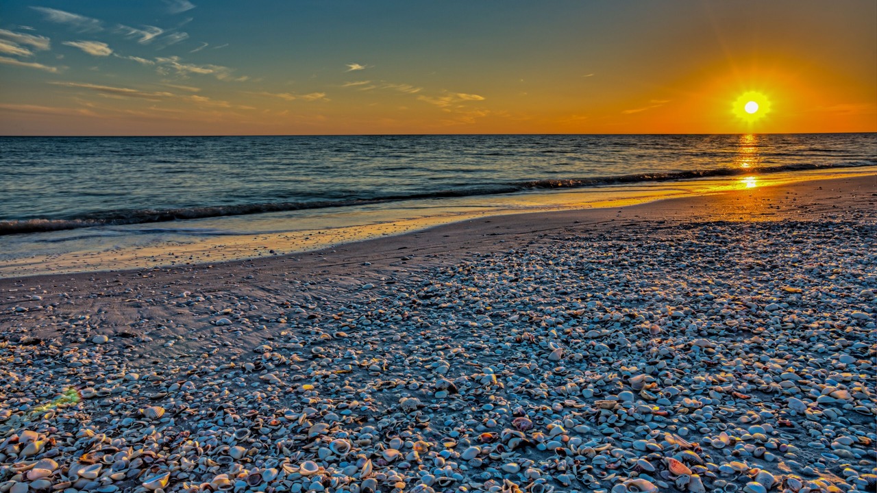 Photo of Others in Sanibel