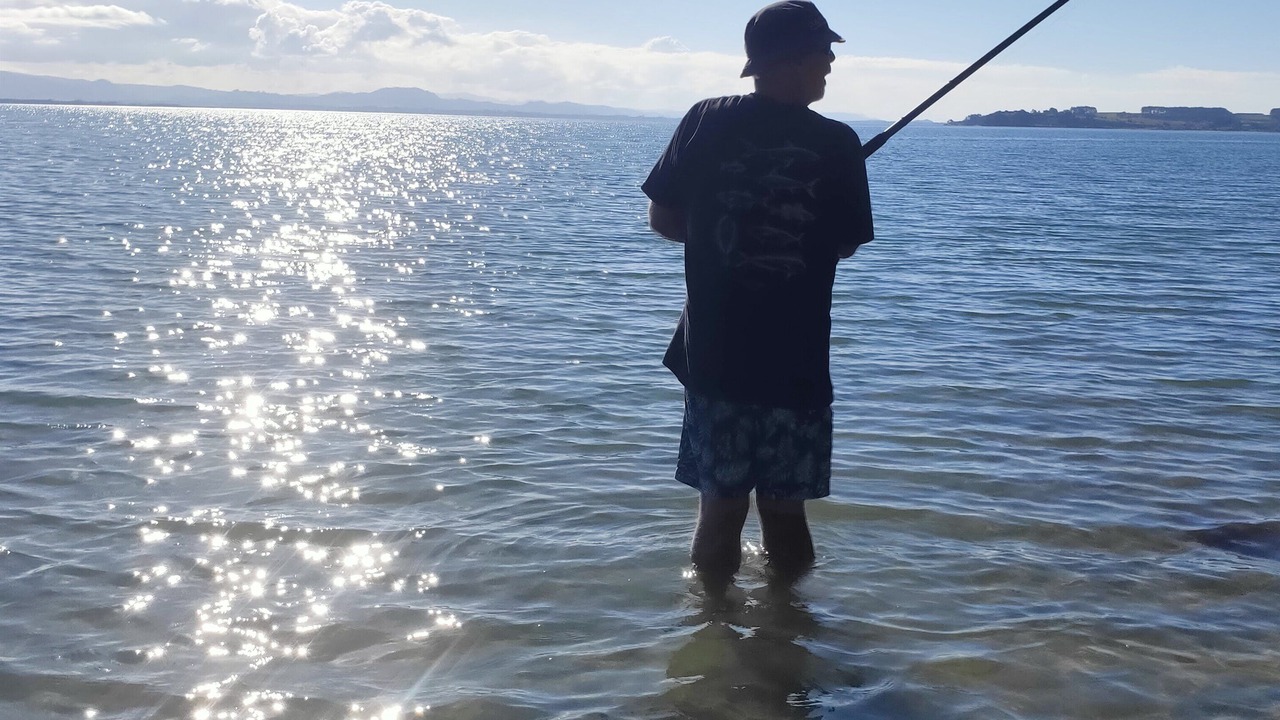 Photo of Others in Omokoroa