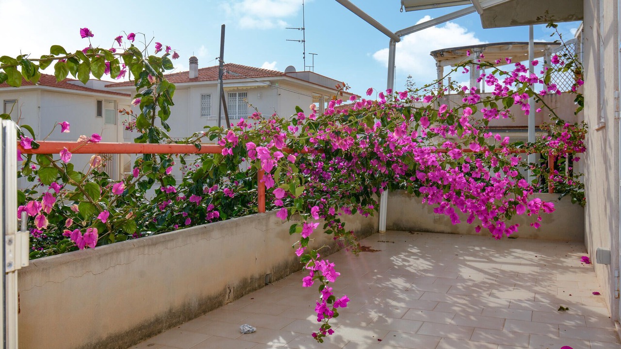 Photo of Others in Caucana-finaiti-casuzze-finaiti Nord