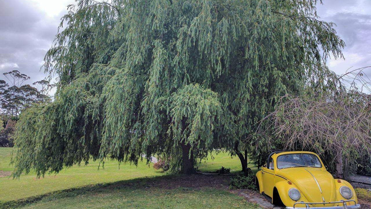Photo of Outdoor in Whangarei