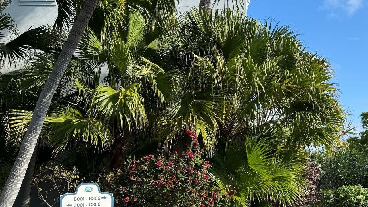 Photo of Outdoor in Caicos Islands