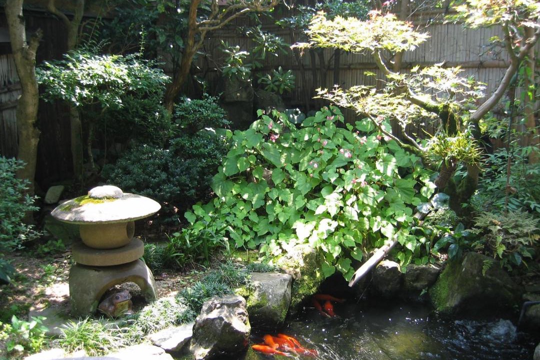Photo of Others in Hikimikyo Onsen