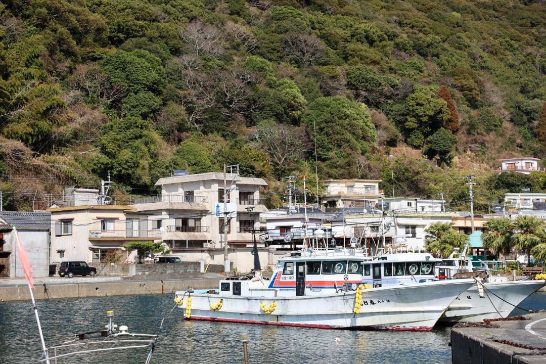Photo of Others in Nobeoka