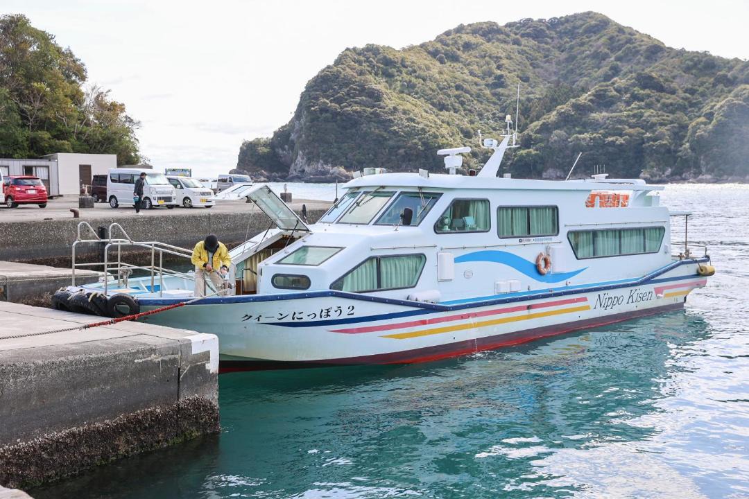 Photo of Others in Nobeoka