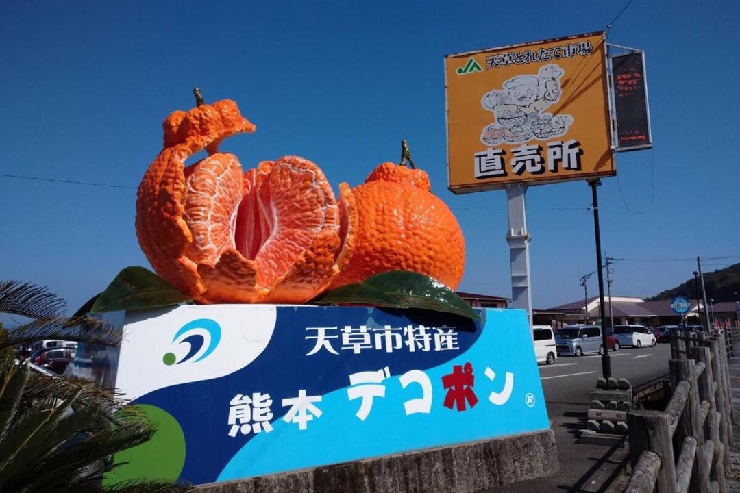 Photo of Others in Amakusa