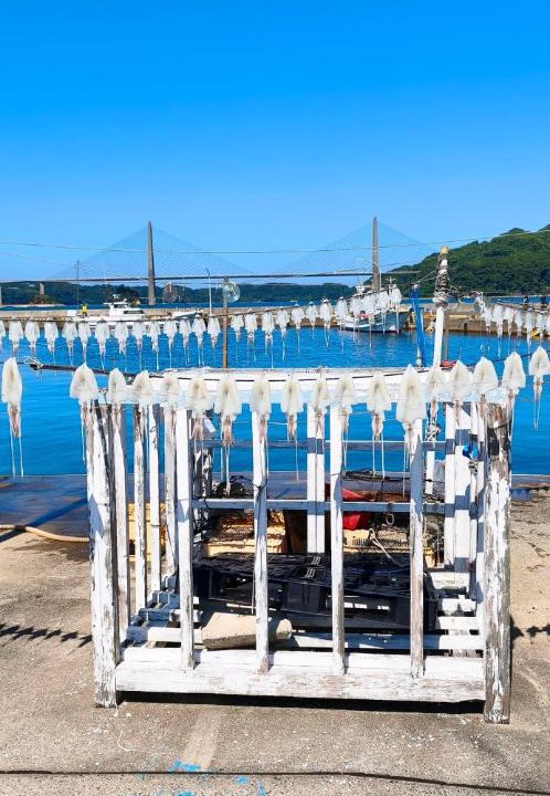 Photo of Others in Kabeshima