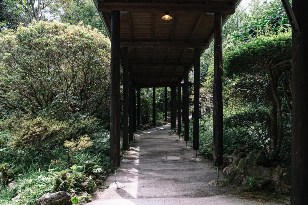 Photo of Others in Yufuin Onsen