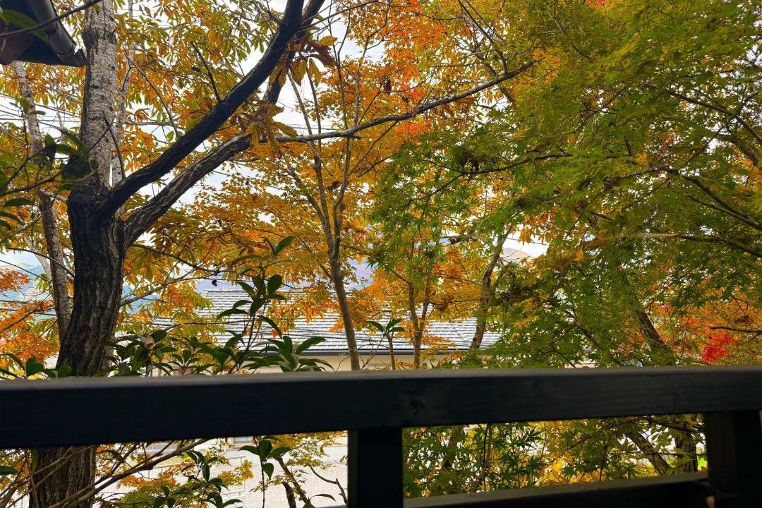 Photo of Others in Yufuin Onsen