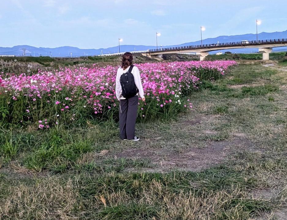 Photo of Others in Kikuchi