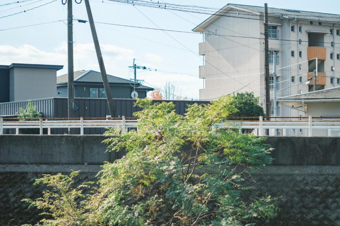 Photo of Others in Nishi Ward