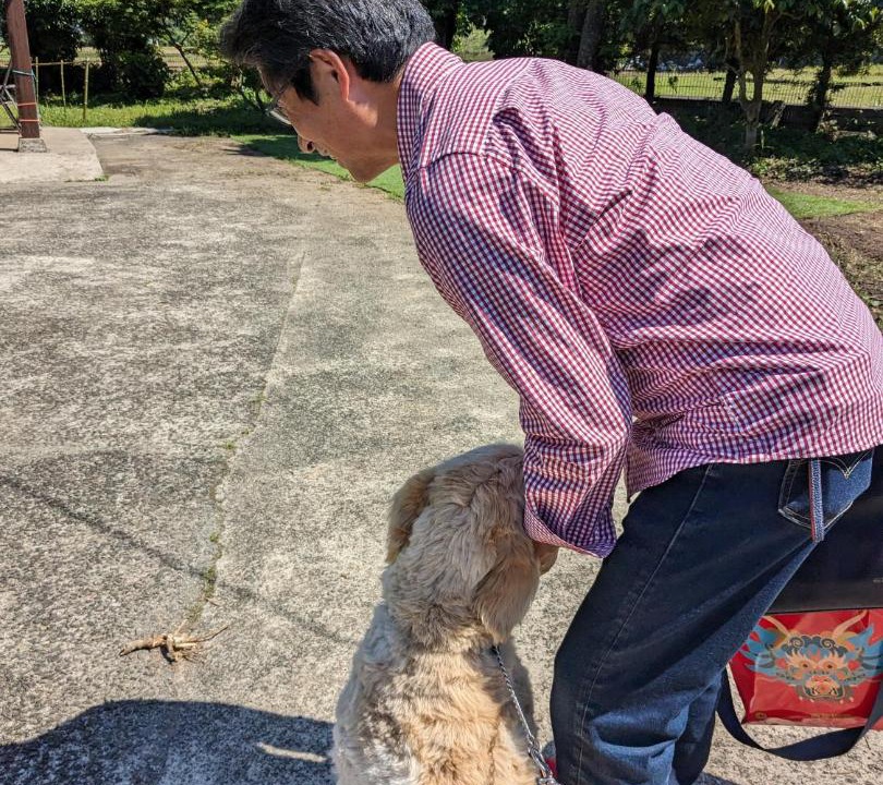 Photo of Others in Kikuchi