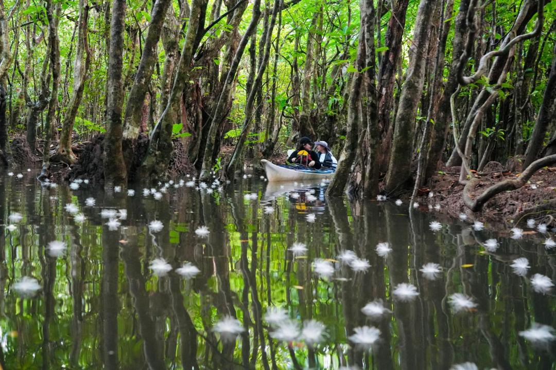 Photo of Others in Iriomote-jima Taketomi-cho