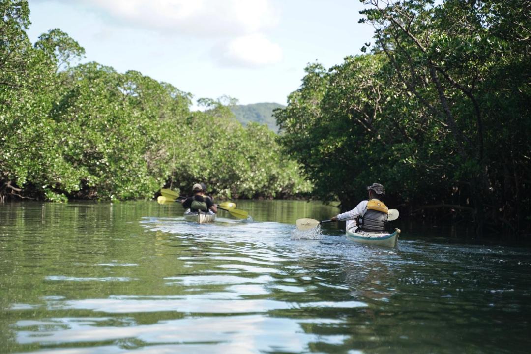 Photo of Others in Iriomote-jima Taketomi-cho
