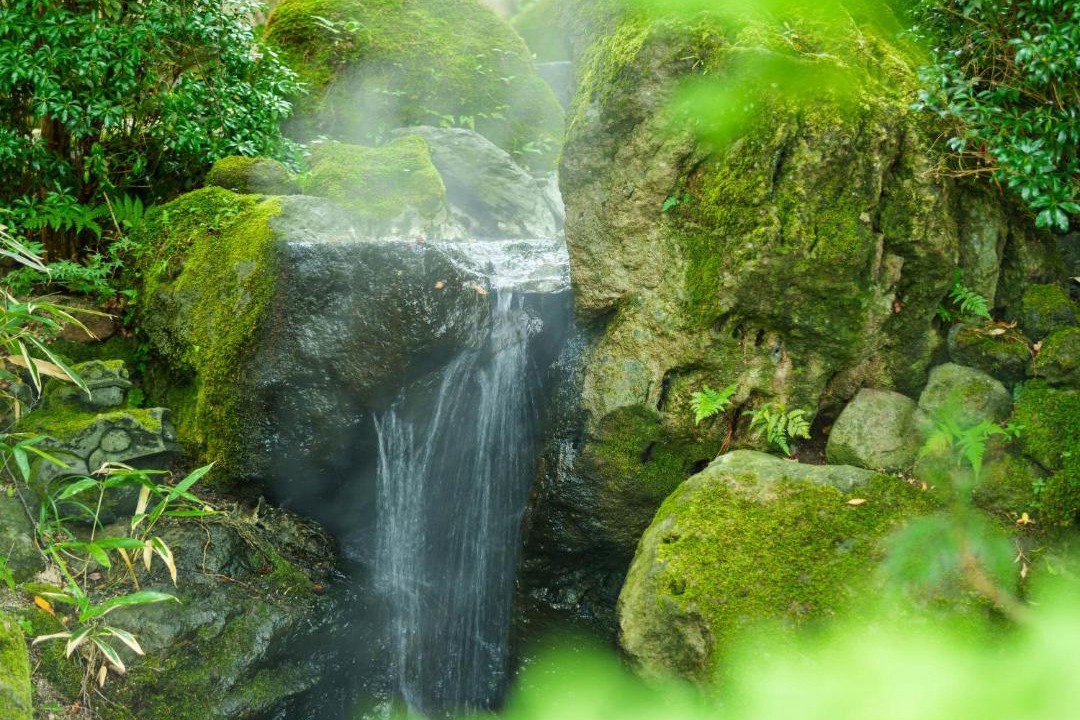 Photo of Others in Yufuin Onsen