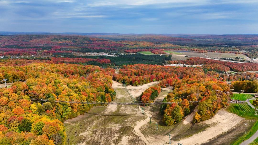 Photo of Others in Boyne Falls