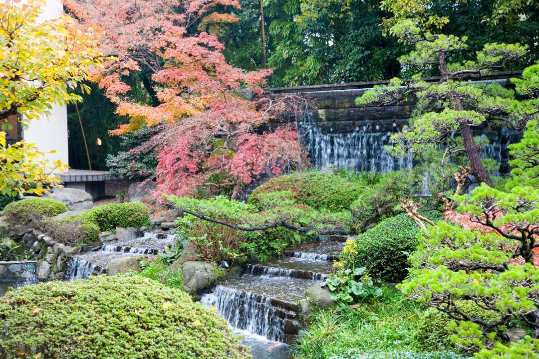 Photo of Others in Kurume
