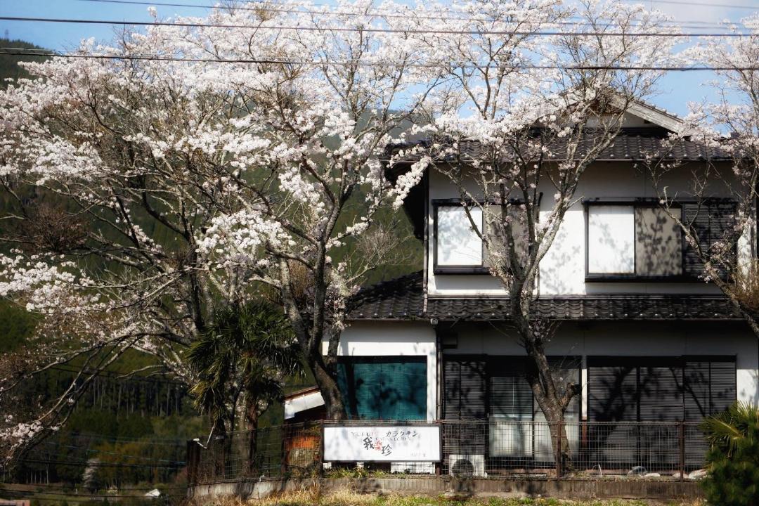 Photo of Others in Yufuin Onsen