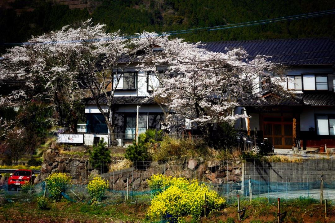Photo of Others in Yufuin Onsen