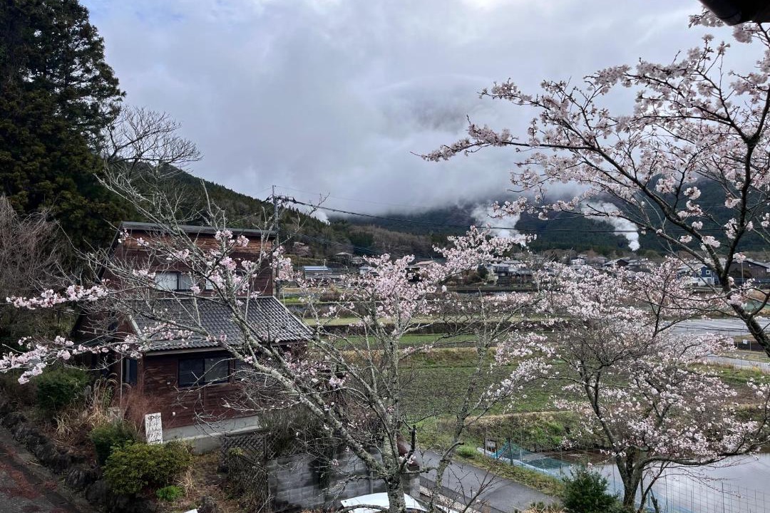 Photo of Others in Yufuin Onsen
