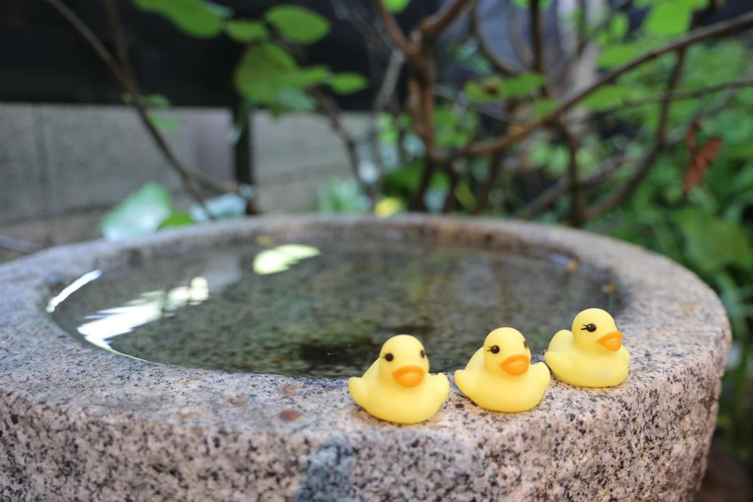Photo of Others in Yufuin Onsen