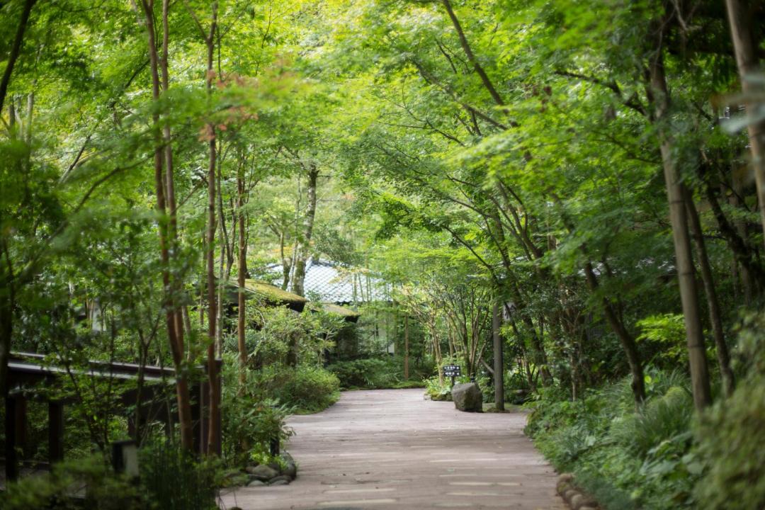 Photo of Others in Yamakawa Onsen