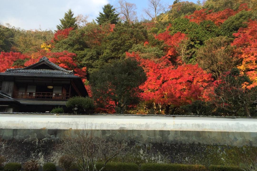 Photo of Others in Hikimikyo Onsen