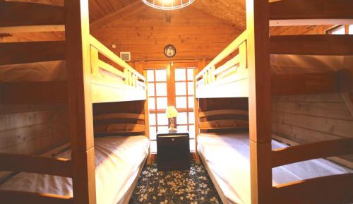 Bunk Bed in Mixed Dormitory Room