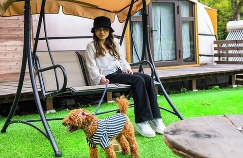 Yufu RV Rental | For 4 people | Room only | Pets allowed Enjoy a /Yufu City Ōita