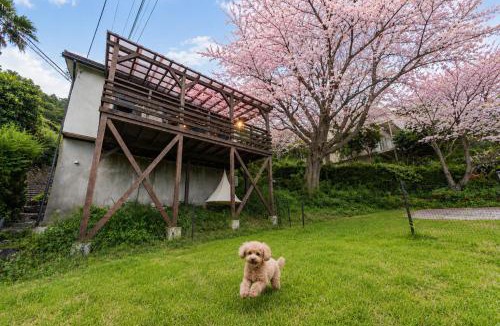 Higashiizu Villa | 愛犬と一緒 海と桜の貸切温泉ヴィラ サクラドッグガーデン伊豆熱川温泉