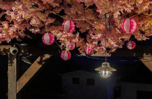 Higashiizu Villa | 愛犬と一緒 海と桜の貸切温泉ヴィラ サクラドッグガーデン伊豆熱川温泉