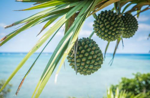 Ishigaki Resort | Ishigaki Sunset Cove